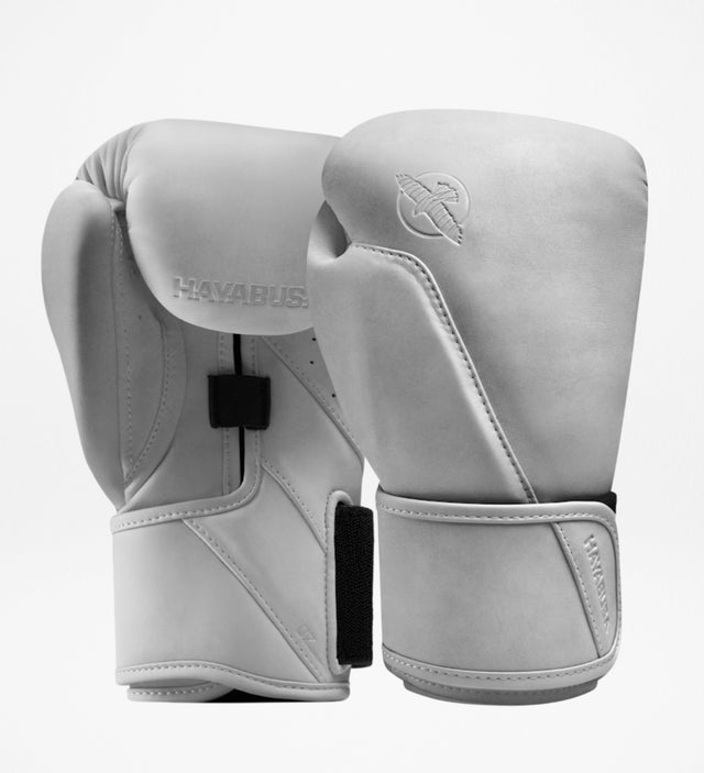 Luvas de boxe Hayabusa T360 – Sea Smoke