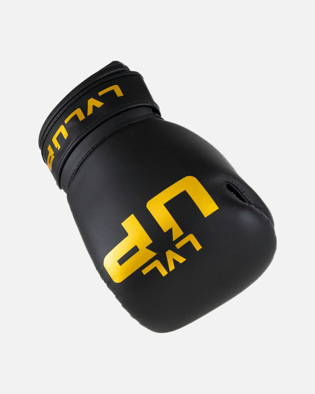 Luvas de boxe LVL UP BG – Preto