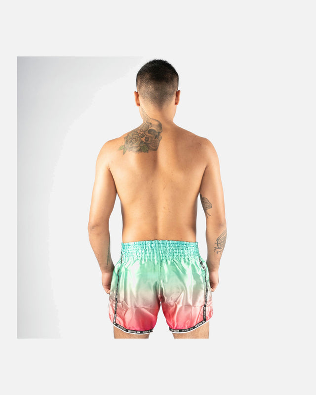 Calções de Muay Thai 8 WEAPONS Vivo Mesosphere – Mesosphere