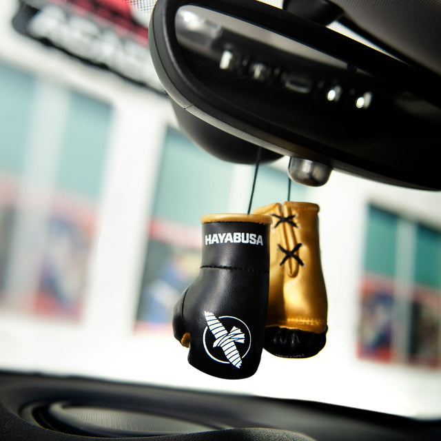 Guantoni da boxe Hayabusa Mini – Nero/Oro