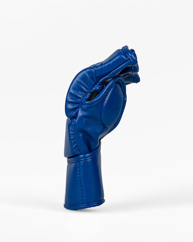 Guanti MMA Elevate Prime – Blu/Bianco