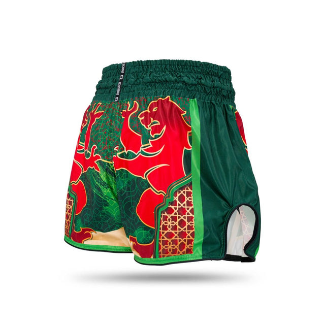 Pantaloncini da kickboxing Booster TBT – Marocco