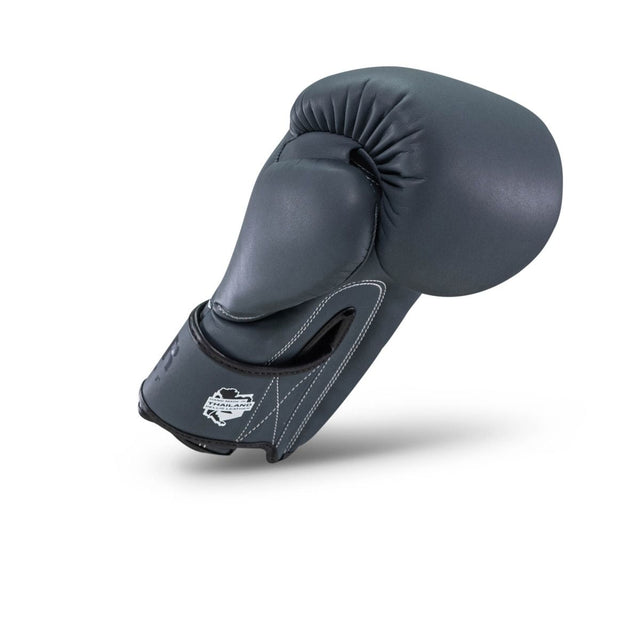 Guantes de boxeo Booster PRO BGL VX2 – Azul marino