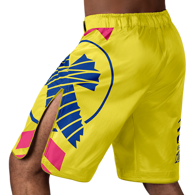 Shorts de MMA Hayabusa Icon Lang – Jaune/Bleu/Rose