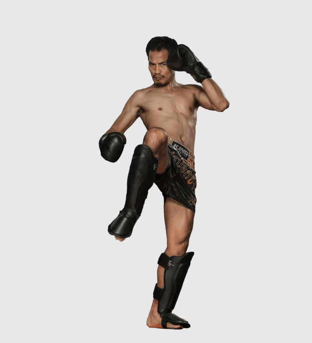 Protège-tibias King Kickboxing – Noir – Protège-tibias