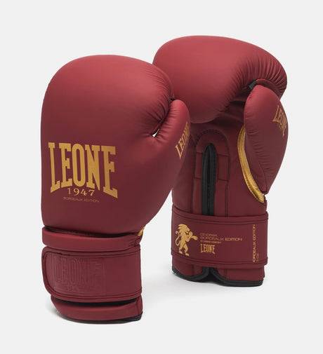 Boxerské rukavice Leone GN059X – Bordeaux/Zlaté