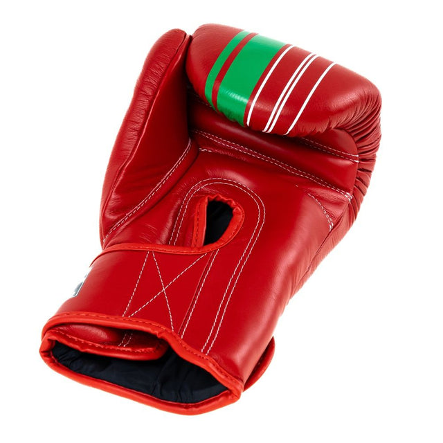 Luvas de boxe Booster V9 'Morocco' – Vermelho/Verde