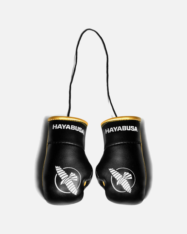 Guantoni da boxe Hayabusa Mini – Nero/Oro