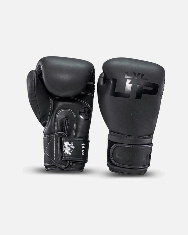 Gants de boxe LVL UP BG – Noir