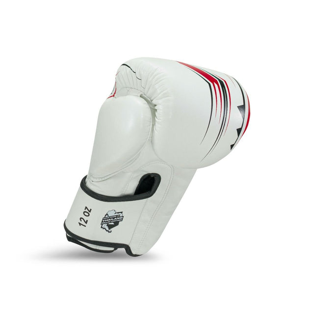 Gants de boxe King Pro Boxing BG Spartan – Blanc/Noir/Rouge